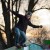 Carsten