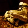 Razors Genesys 6