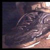 painted so many times but there Salomons